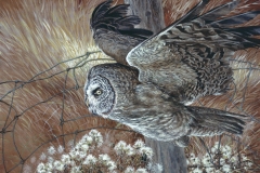 110 - Great Grey Owl SOLD