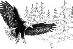 166 - Eagles Nest 2 Ink Line Drawing