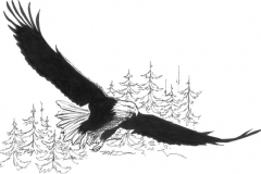 167 - Eagles Nest 3 Ink Line Drawing