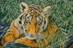 220 - Bengal tiger SOLD