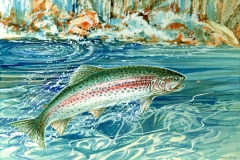 235 - Rainbow Trout SOLD